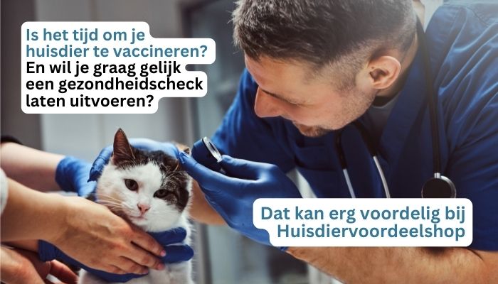 Kattenziekte, is jouw kat al geënt?