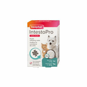 Beaphar IntestoPro voor kat en hond – 20 stuks