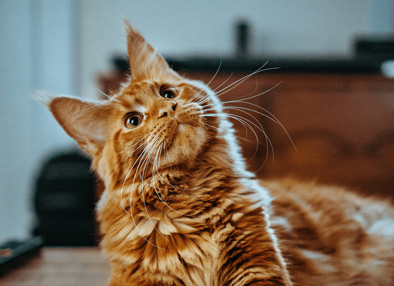 Let op! Gewijzigde openingstijden feestdagen