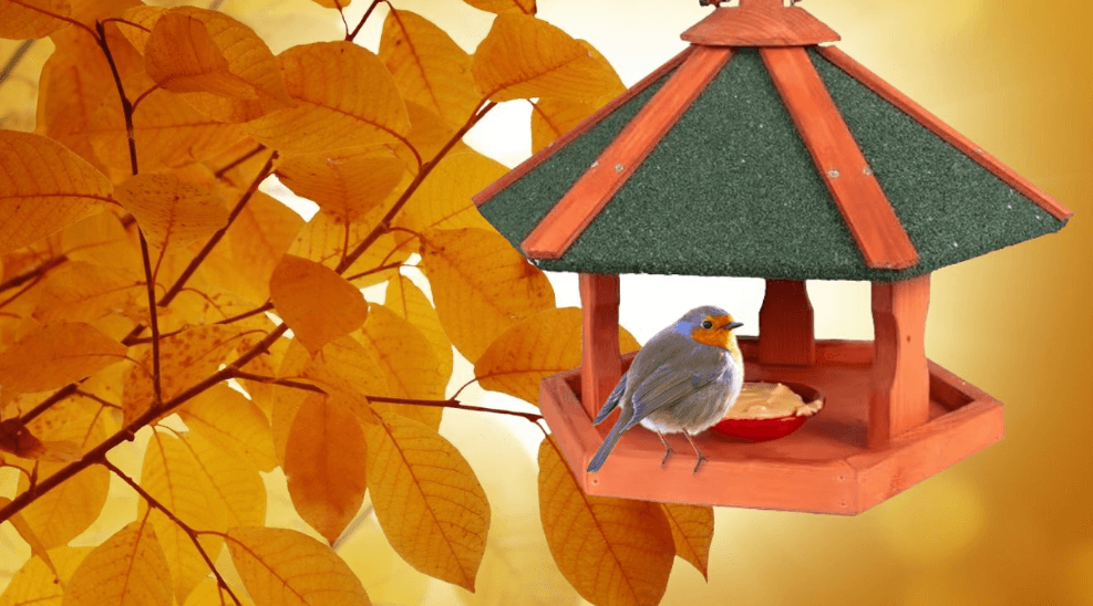 Seiizoensallergieën bij huisdieren: waar moet je op letten?