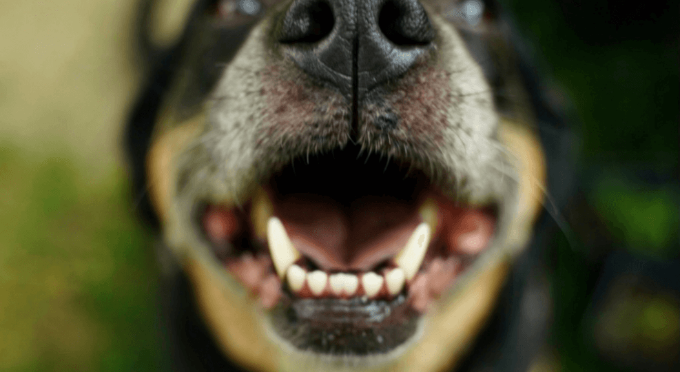 Let op! Gewijzigde openingstijden feestdagen