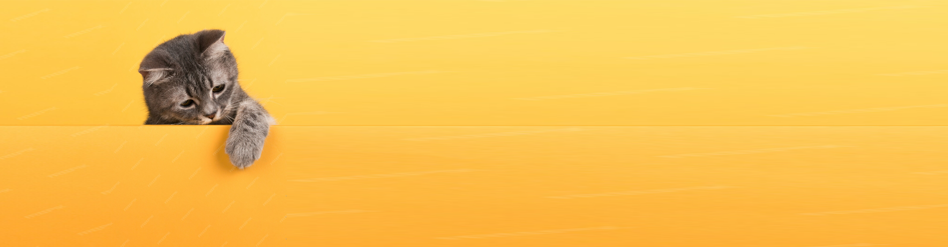 HVDS Spoil your cat with this and that