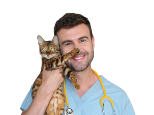 Vet with cat