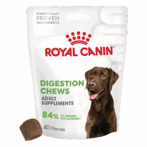 Royal Canin Digestion supplement 160 g